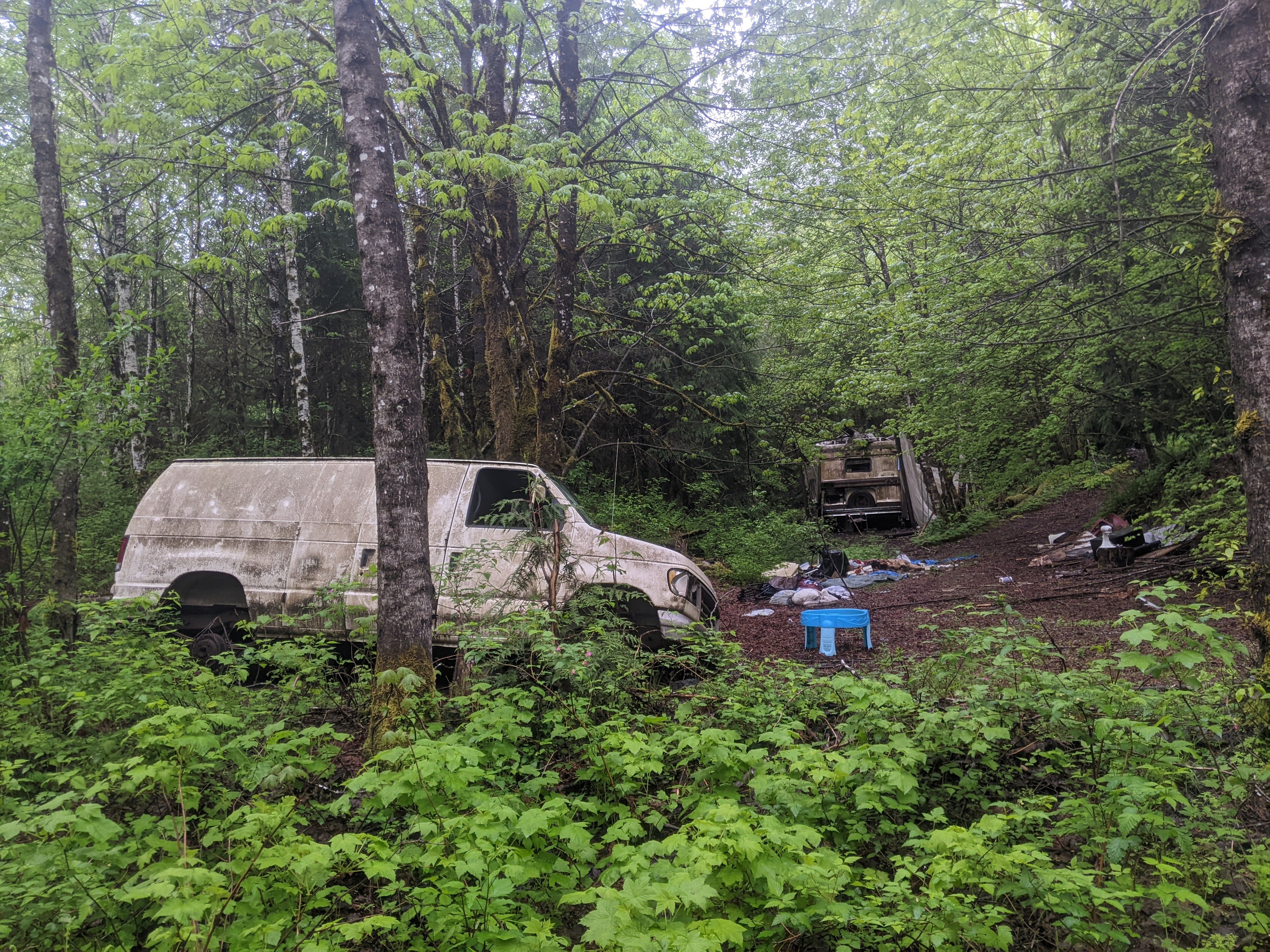 Destroyed vehicles in a forest